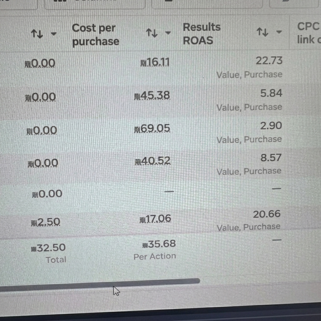 Meta Ads Report